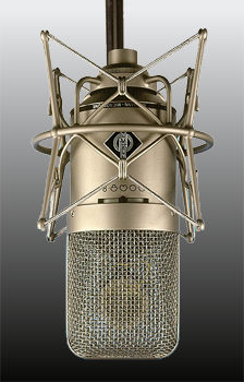 mic.jpg